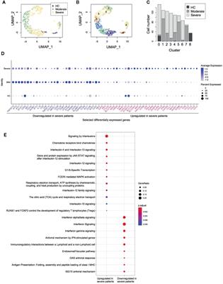 T-Cell Hyperactivation and Paralysis in Severe COVID-19 Infection Revealed by Single-Cell Analysis